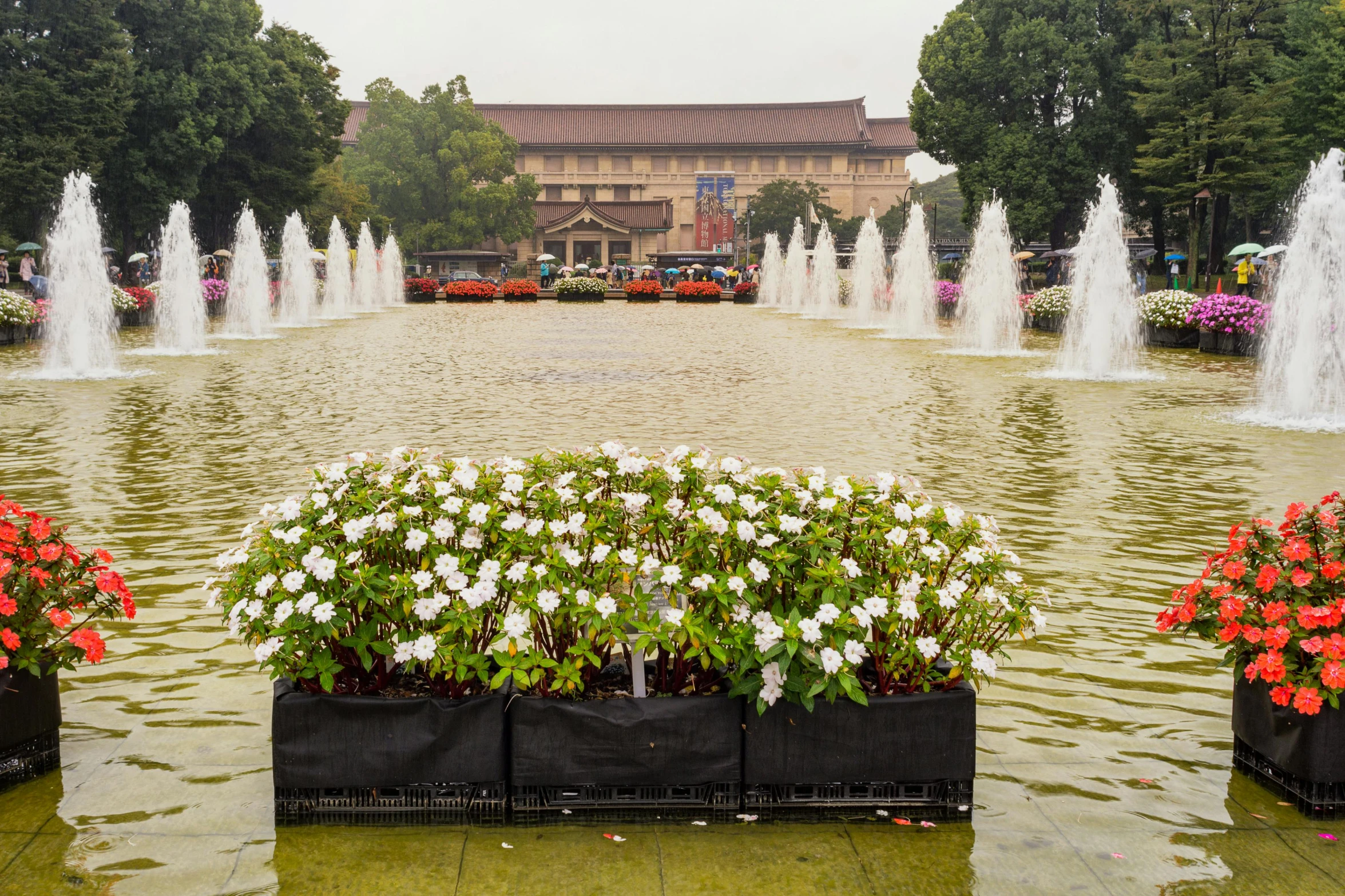 a number of flowers with some water in the background