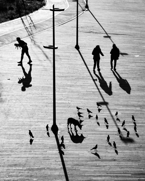 three people walking near several birds on a street