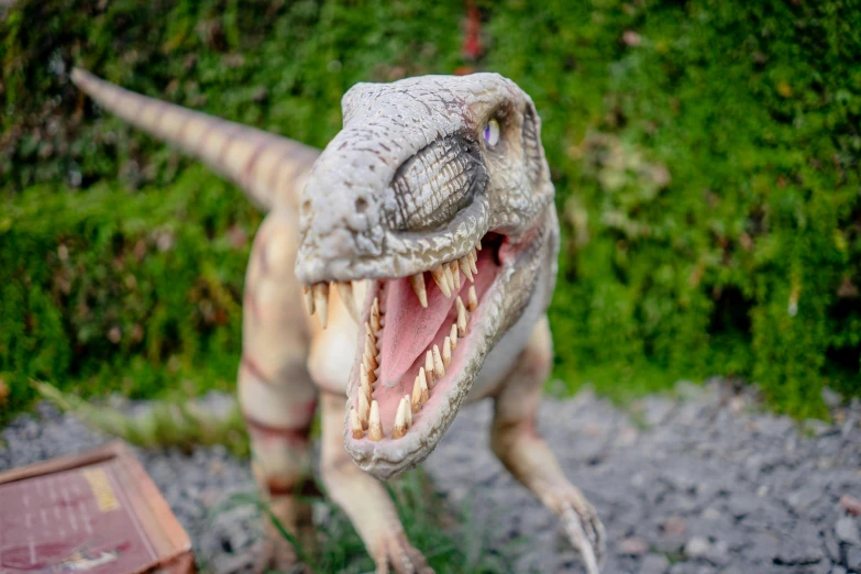 a stuffed dino on display in a field