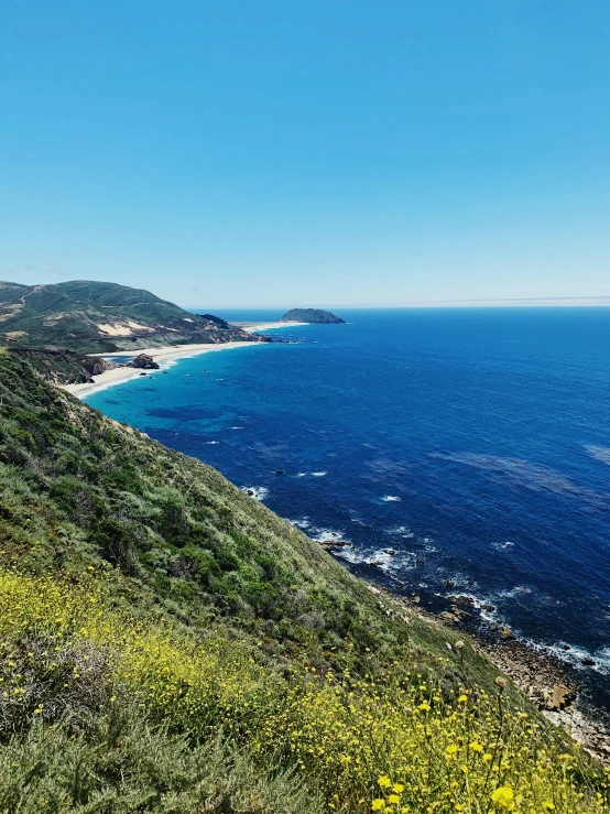 an area with green vegetation near the ocean