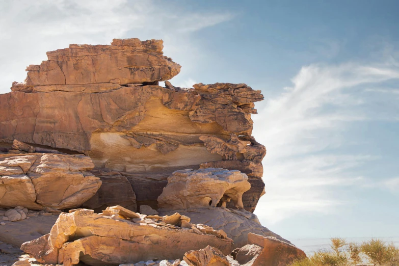 some rocks and plants are on a desert hillside