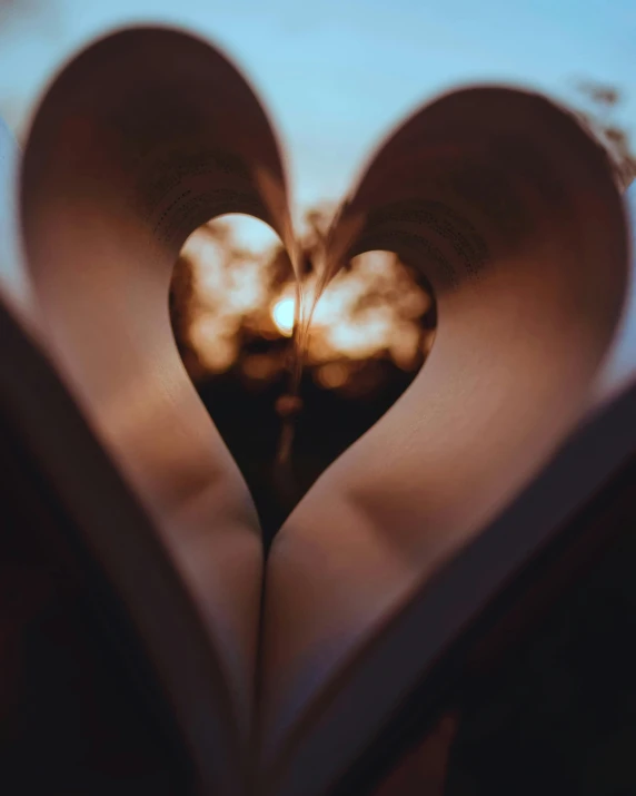 the image is taken through a heart shaped lens