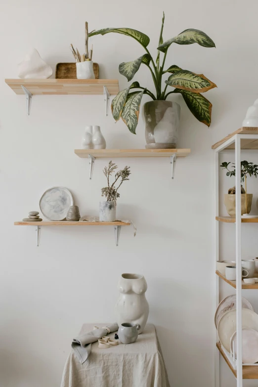 a large houseplant is sitting on some wooden shelves