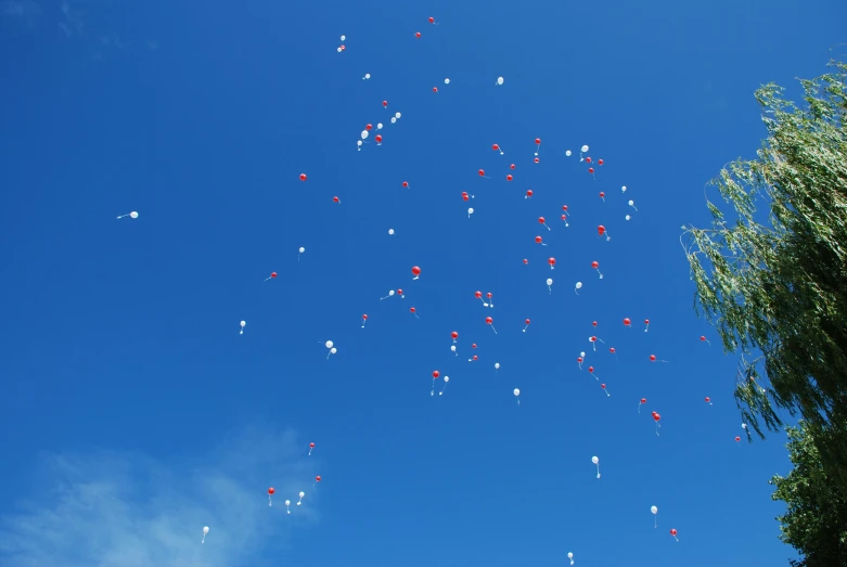 red, white and blue balloons flying in the blue sky