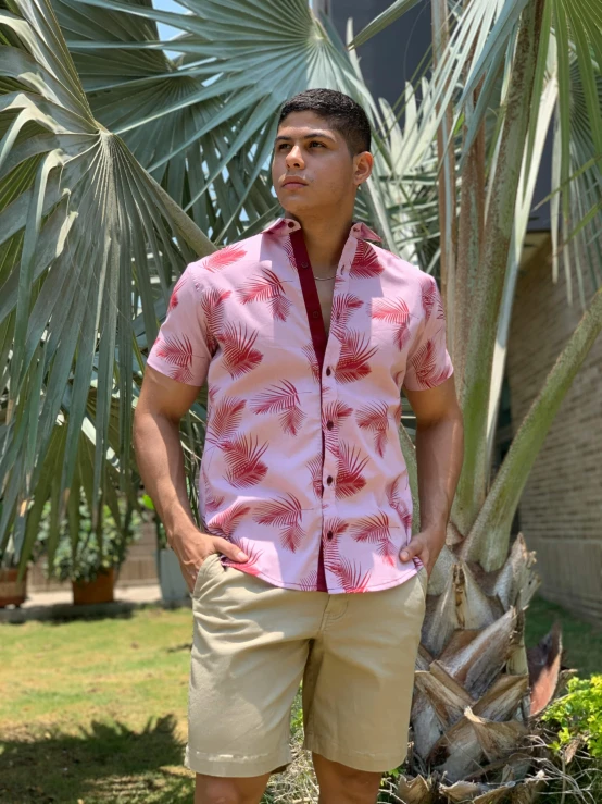 a man standing next to a palm tree wearing an elaborate pink shirt