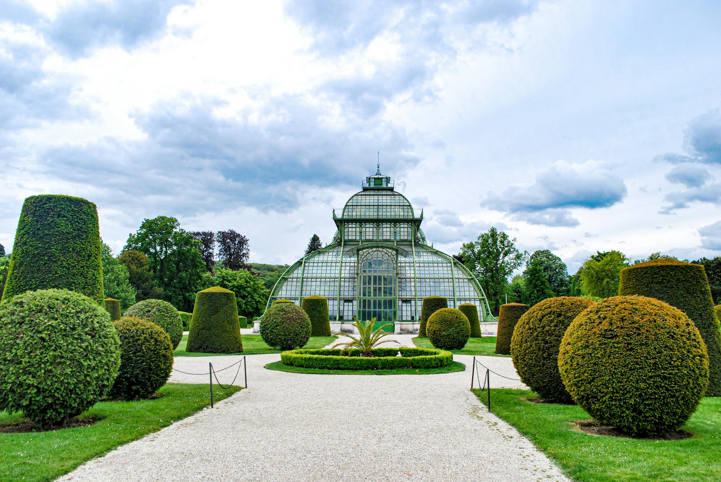 many bushes near the center of the garden