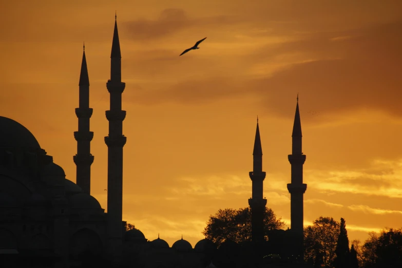 birds fly in the sky next to some buildings at sunset