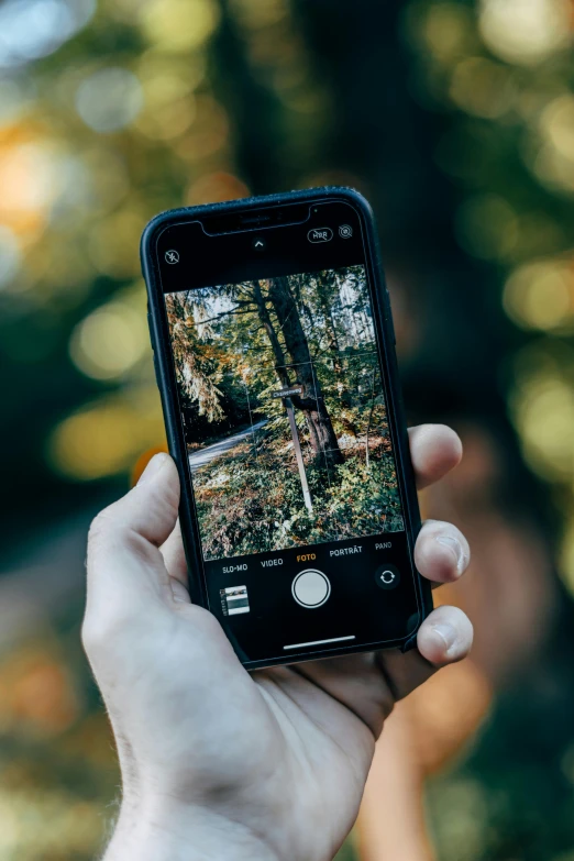 a woman holding an iphone taking pictures in a forest