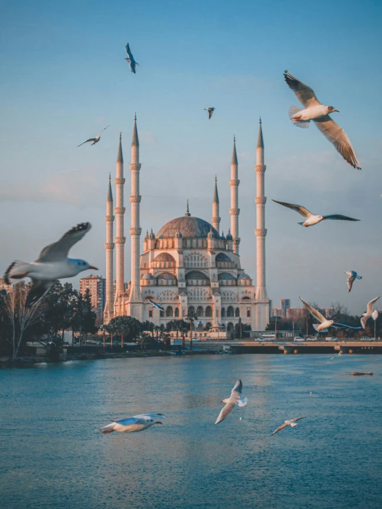 seagulls flying over an ornate building by the water