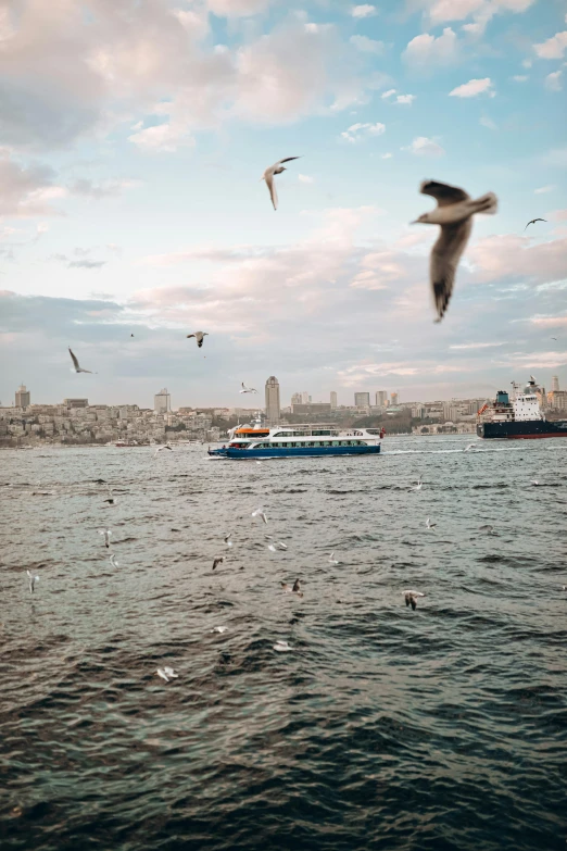 sea gulls flying over the water with boats and sky