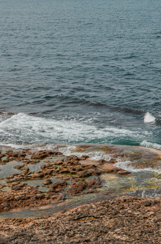 people standing near the ocean and one person in water skiing