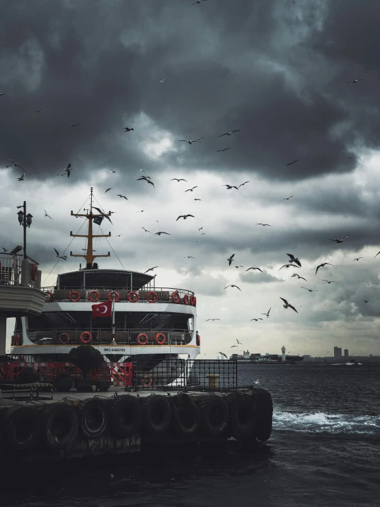 a ferry boat floating along the water with birds flying over it