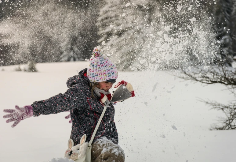 a person throwing snow in the air and a dog near them