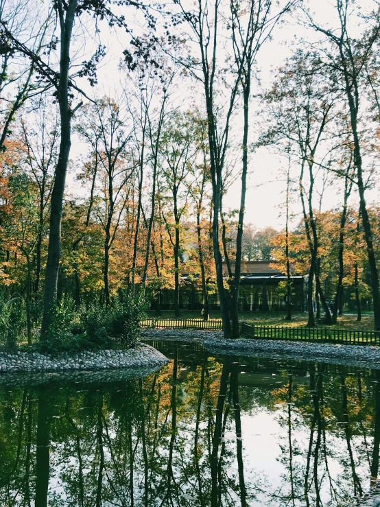 a lake surrounded by trees on the edge of it