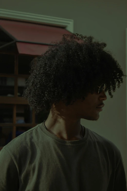 a man with a large afro in a green shirt