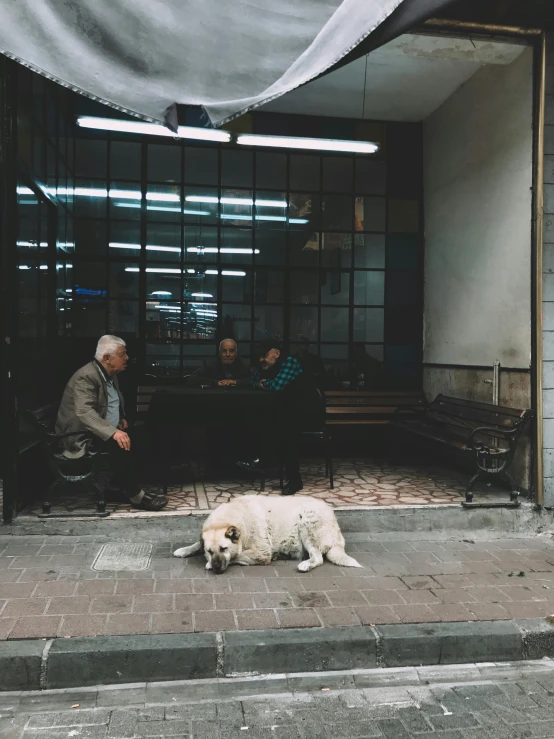 a man with a large white dog on the side of the street