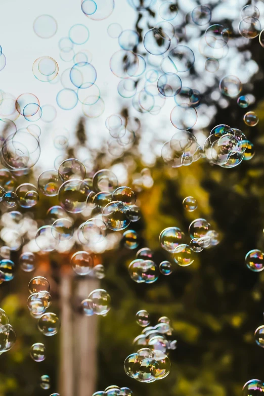 water bubbles fly into the air on a sunny day