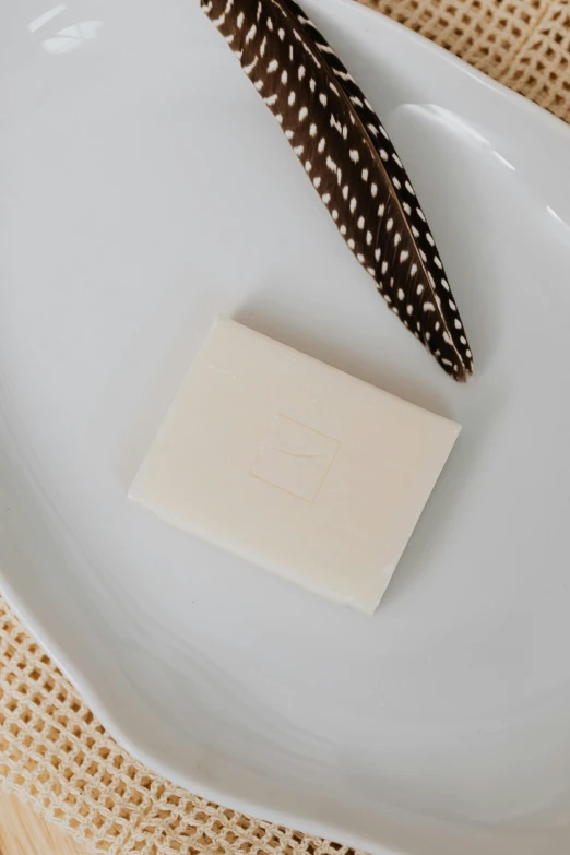 a brown feather on top of a white plate