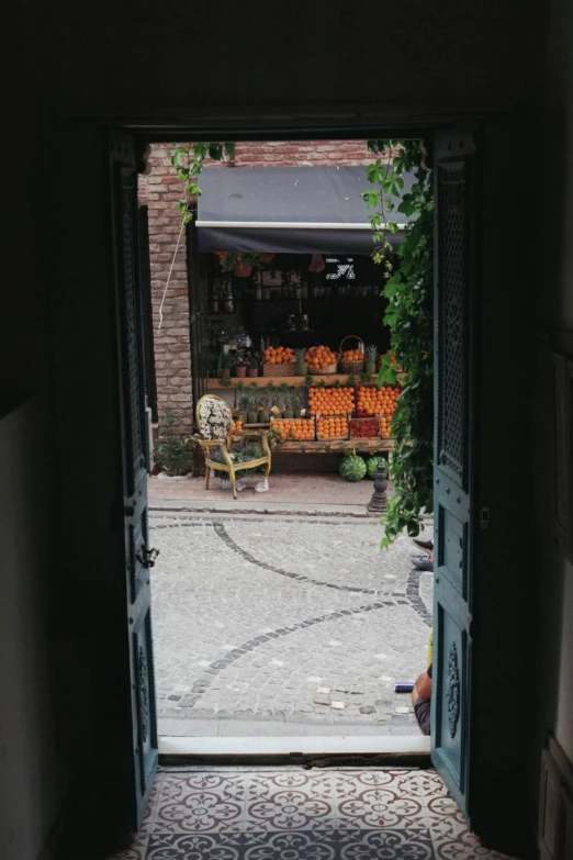 a doorway with a bench, pumpkins and some plants in the background