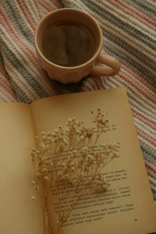 an open book with a plant in it