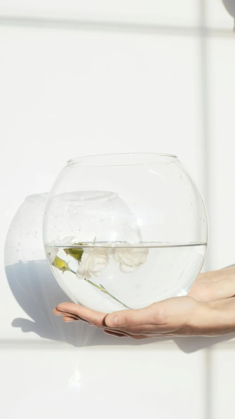 a hand holding a bowl with a water plant inside it