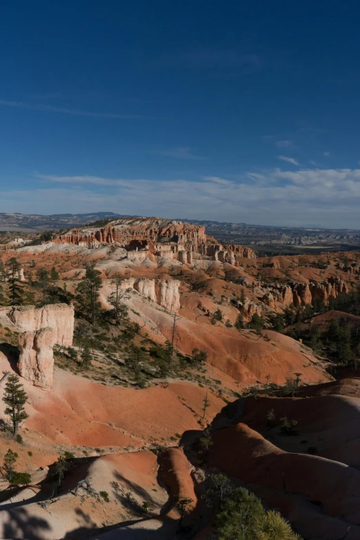 a cliff is near many trees and brown rocks