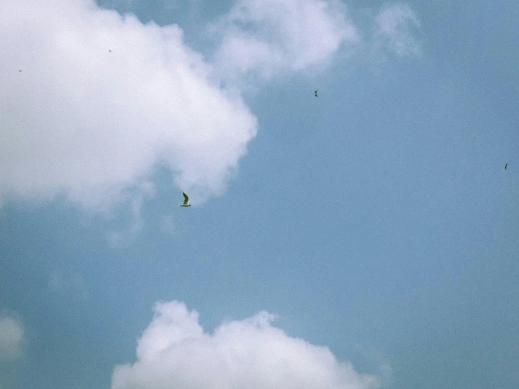 some kites are flying through the air under a cloudy sky