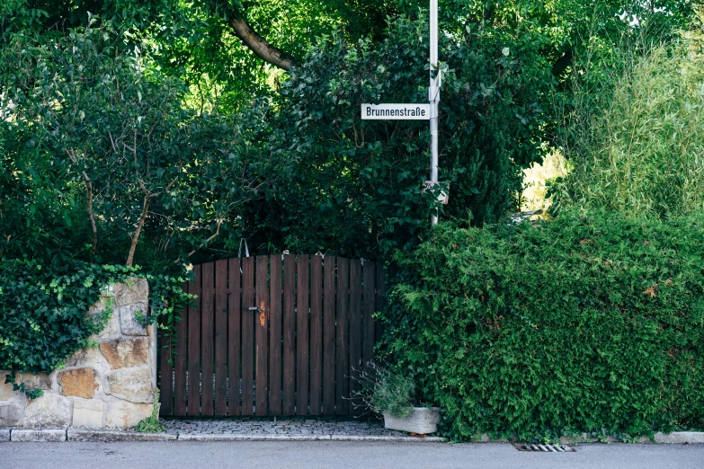 gate that is surrounded by a green shrub