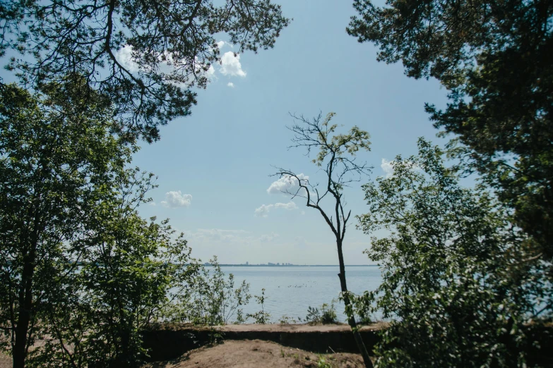 a beach that has a pathway to the water