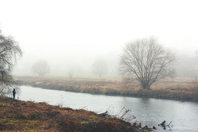 a river runs through a foggy field by some trees