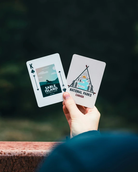 someone holding up two playing cards that have mountains and flags on them