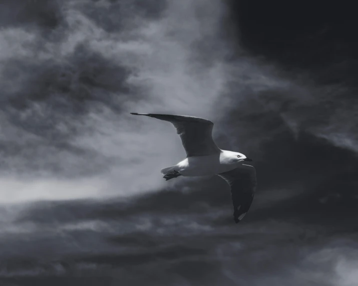 a bird soaring through a cloudy sky during the day