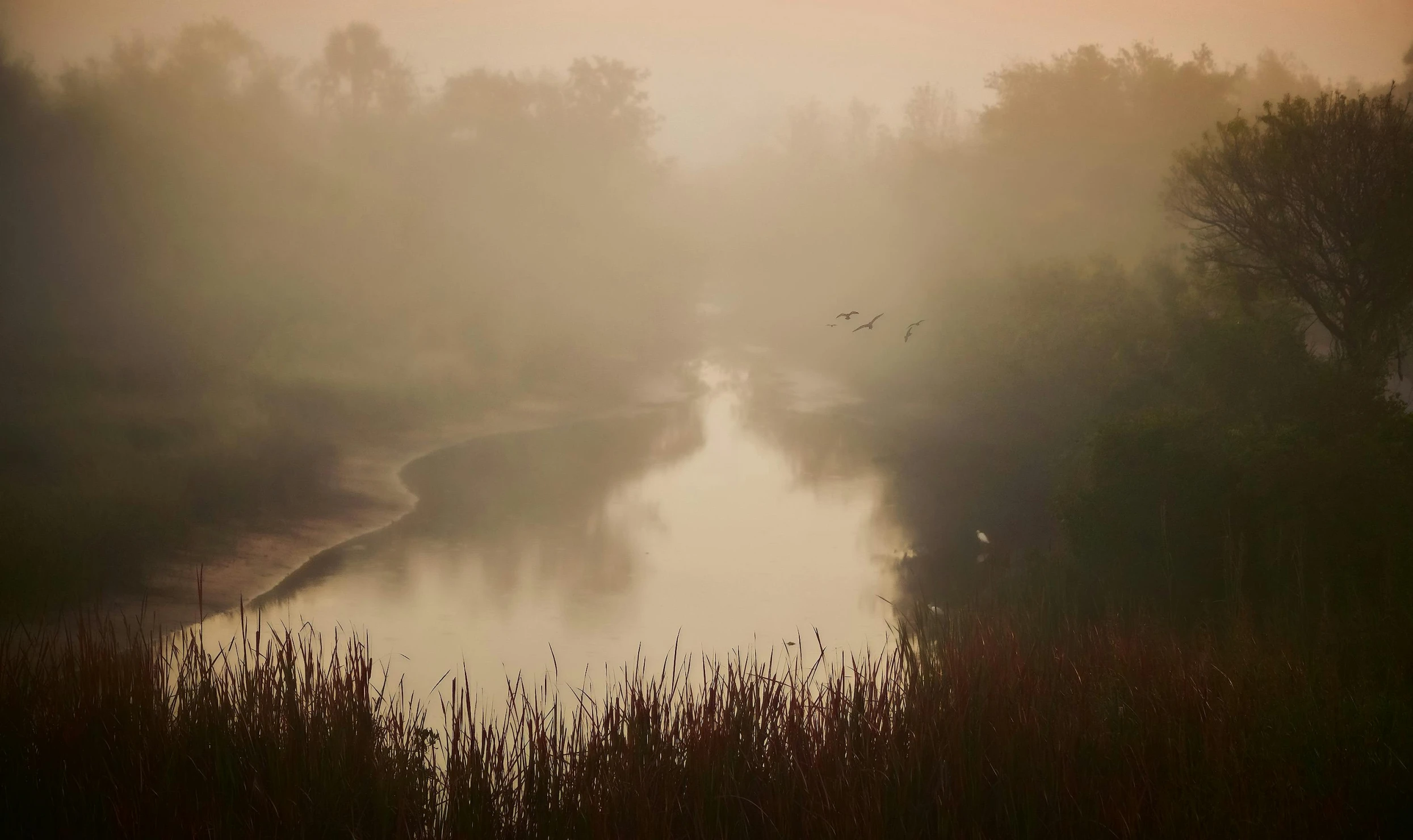 a foggy river is surrounded by grassy area