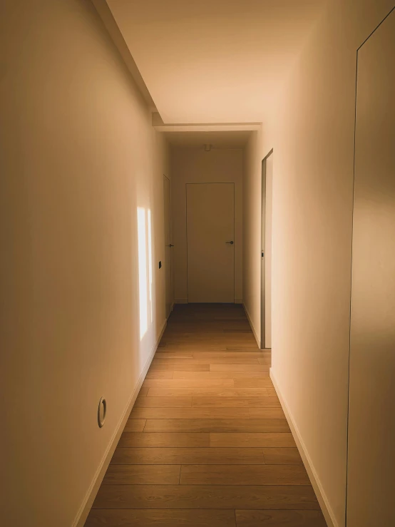 a wooden floor with a white door and a light fixture in a hallway