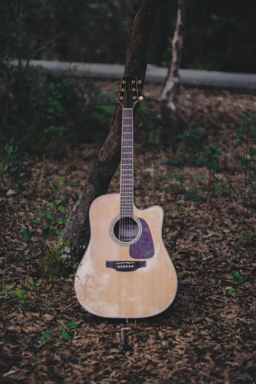 an old guitar sits on the ground near a tree