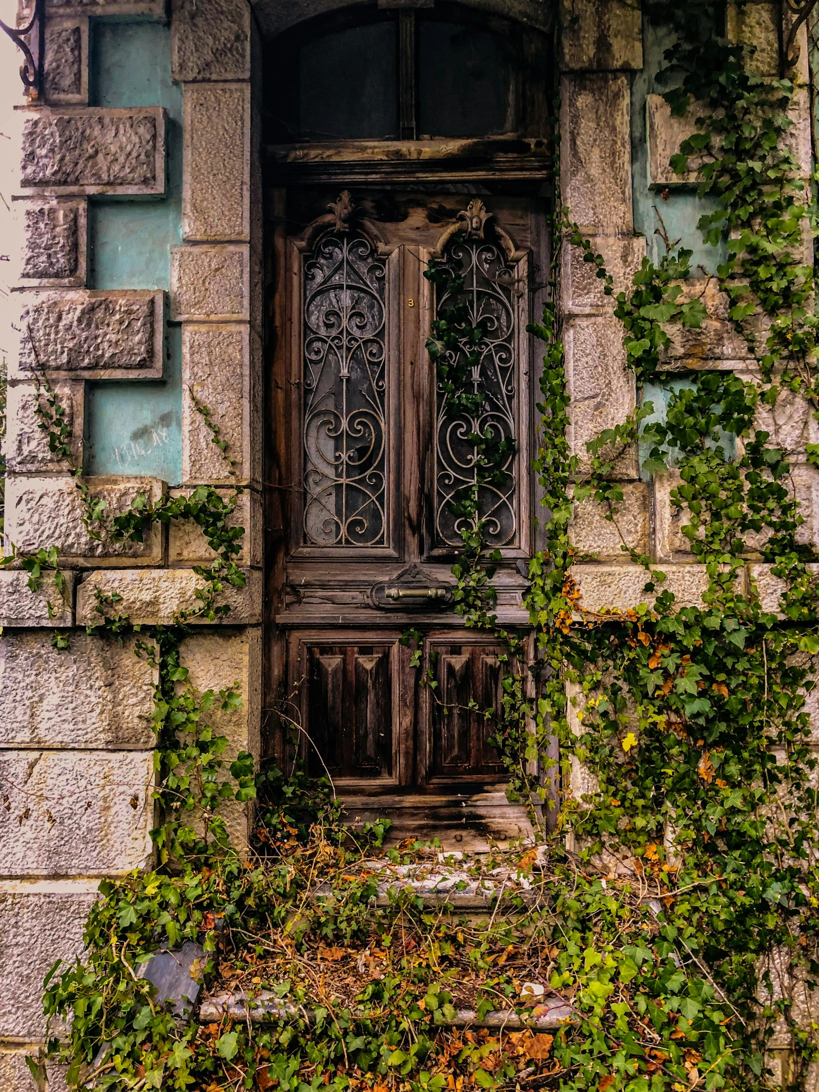 an old wooden door with ivy growing on it