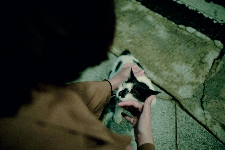 a cat laying on a hand and sitting in someone's lap