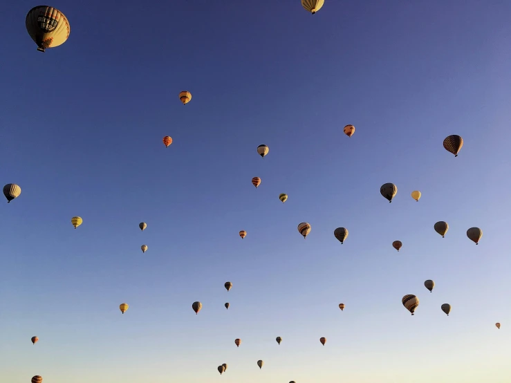 a group of large balloons are flying over a field