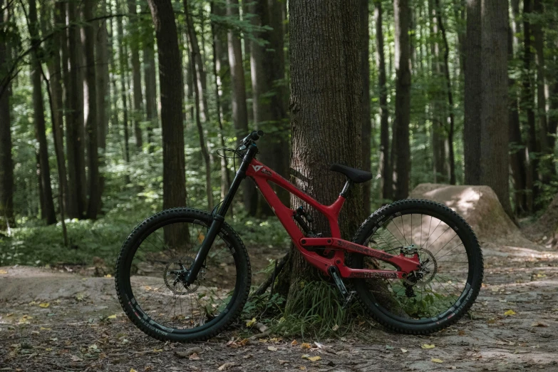 a red bike parked in the woods near a tree