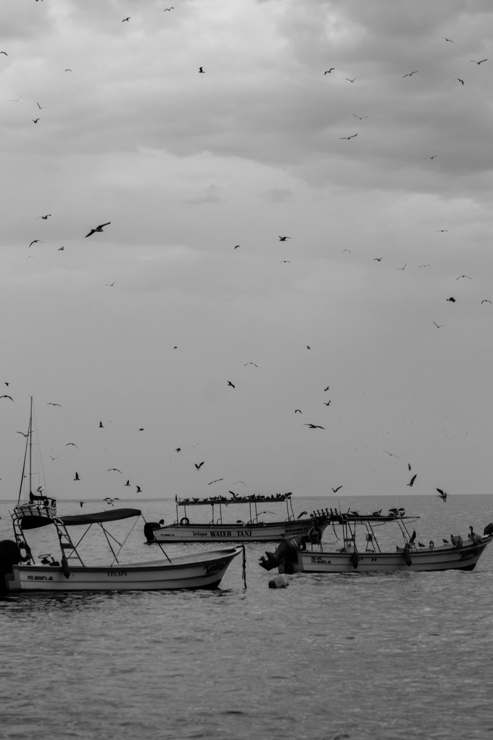 the fishing boats are docked with the birds flying above them