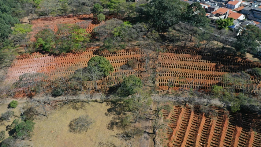 an aerial s of some very old brick structures in the woods