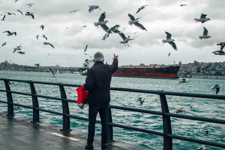 a man watches birds while a large ship is in the background