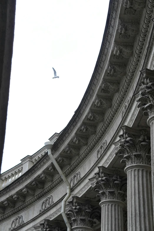 a gray building has pillars and a bird