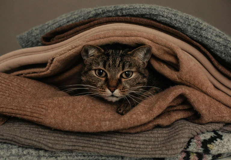 the cat is hiding in the blankets on the bed