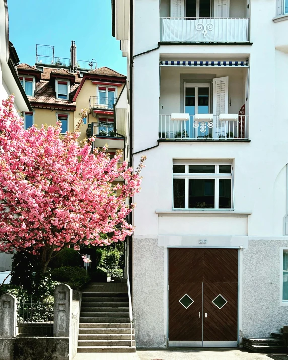 a tall white building with flowers blooming on it