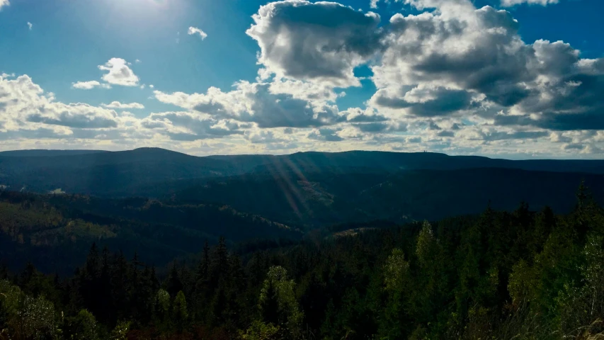 the sun shines down on a wooded hillside