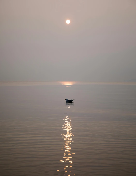 a lone small boat in the water under a full moon