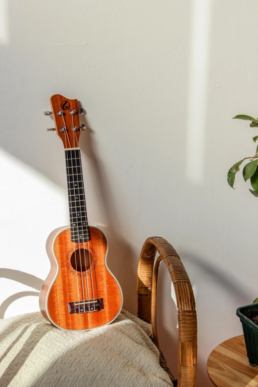 an orange ukulele leaning against the wall next to a potted plant