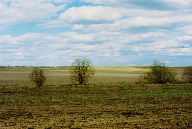 a view of a green field and some brown grass