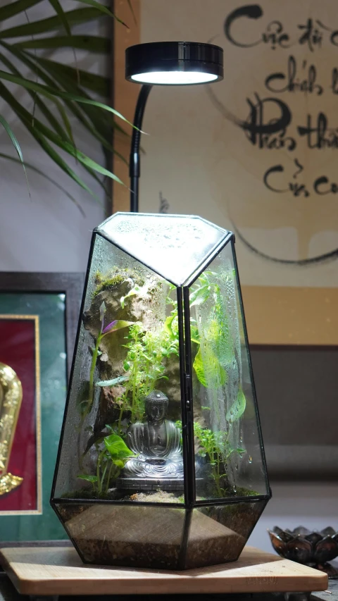 a small terrarium sits on a wooden board under a table